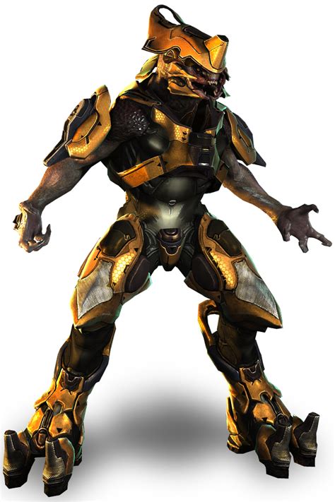 Sangheili Warrior Halopedia The Halo Wiki