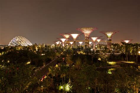 Night View of Gardens by the Bay Editorial Photography - Image of ...