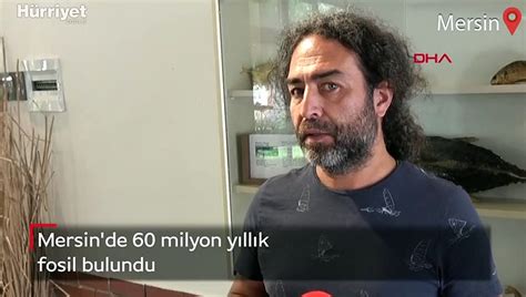 Mersin de 60 milyon yıllık fosil bulundu Dailymotion Video