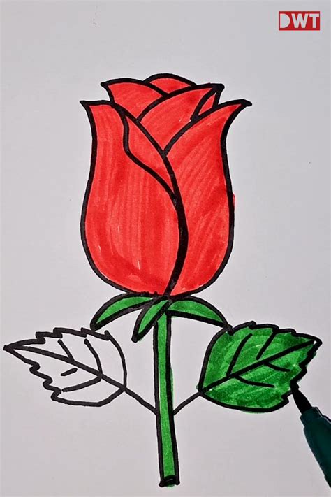 draw  rose realistic  beginners