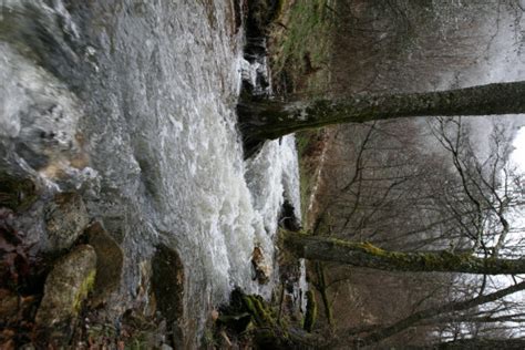 Kostenlose Foto Landschaft Baum Wasser Natur Wald Rock Bach