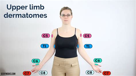 Dermatomes Upper Limb