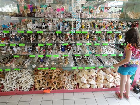 Display At She Sells Seashells Sanibel Flickr Photo Sharing