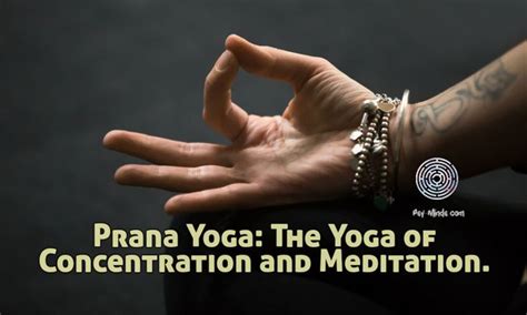 Prana Yoga: The Yoga of Concentration and Meditation | Prana yoga, Yoga ...