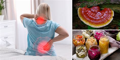 Instant Strategic Dietary Choices Calm Chronic Stress Naturally Unbelievable - The Crucible Web Node