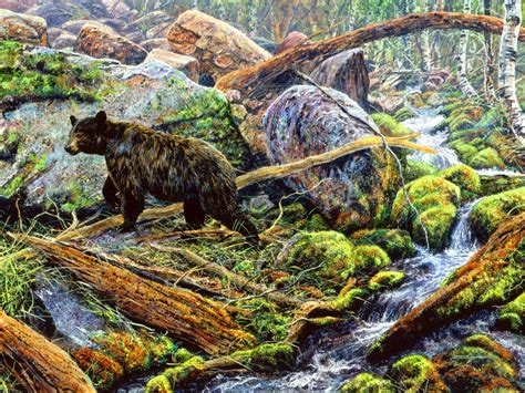 Wildlife Paintings