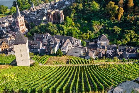 Bacharach Town Vineyards Rhine - Free photo on Pixabay