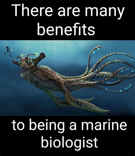 Pin On The Benefits Of Being A Marine Biologist