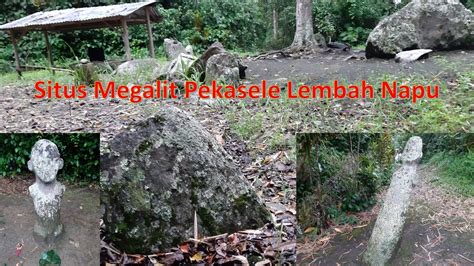 Situs Megalit Pekasele Lembah Napu Sulteng YouTube