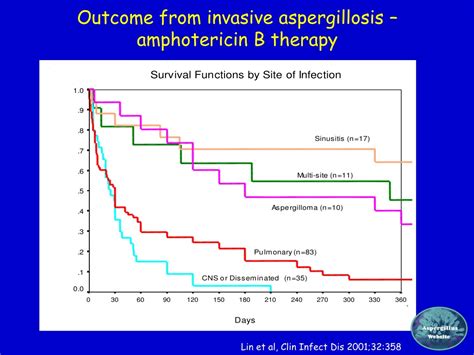 Ppt The Extraordinary Spectrum Of Diseases Caused By Aspergillus Powerpoint Presentation Id