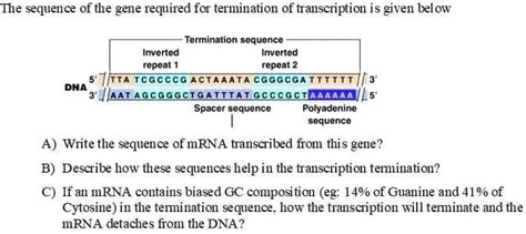 Solvedthe Sequence Of The Gene Required For Termination Of