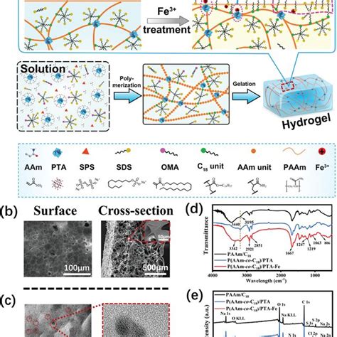 A Interfacial Liquid Removal And Adhesion Of Pure Paam Hydrogel On The