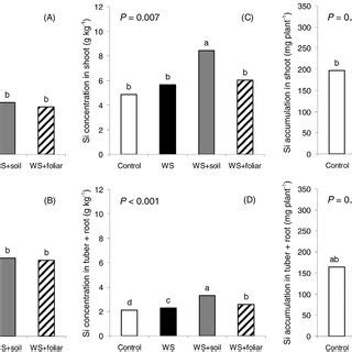 Effect Of Soil And Foliar Applied Si And Water Deficit On Dry Weight Of