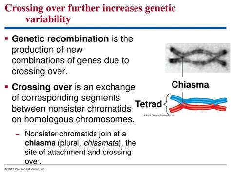 Ch 8 The Cellular Basis Of Reproduction And Inheritance Ppt Download