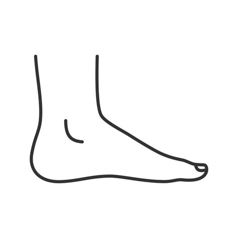 foot outline vector art icons  graphics