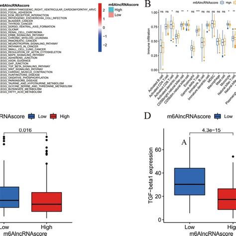 Tme Cell Infiltration Characteristics In The High And Download