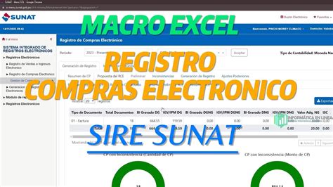 SIRE SUNAT Macro Excel Registro De Compras Electronico RCE YouTube