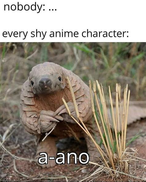 Ano.....ano.. - Anime & Manga | Anime funny, Stupid funny memes, Anime memes