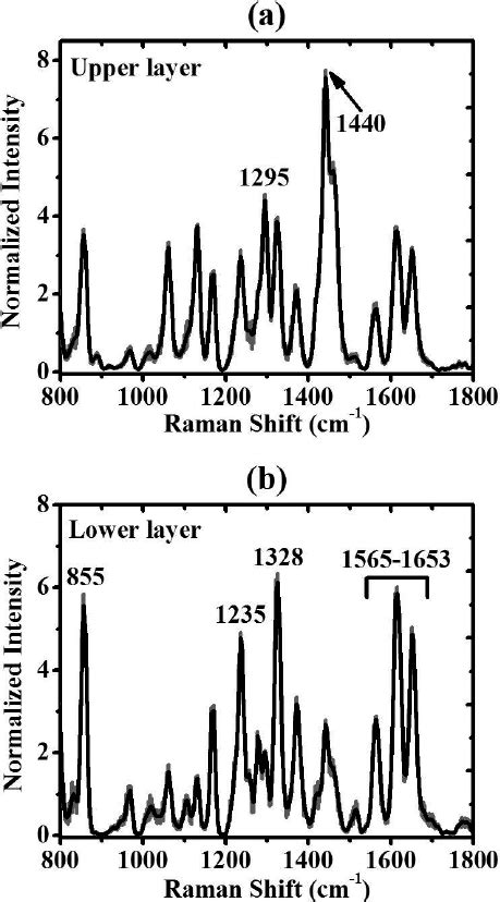 A Reference Raman Spectra Of Paraffin Upper Panel And