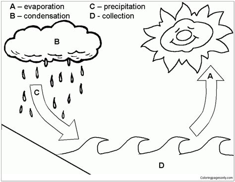 Water Cycle Coloring Page - Free Coloring Pages Online