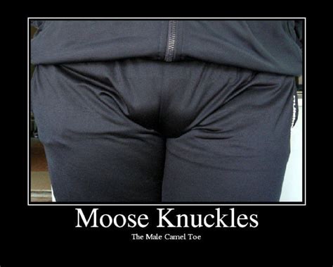 Pin By Lisa Taylor On Funny Best Friends Funny Moose Knuckle Moose Knuckles