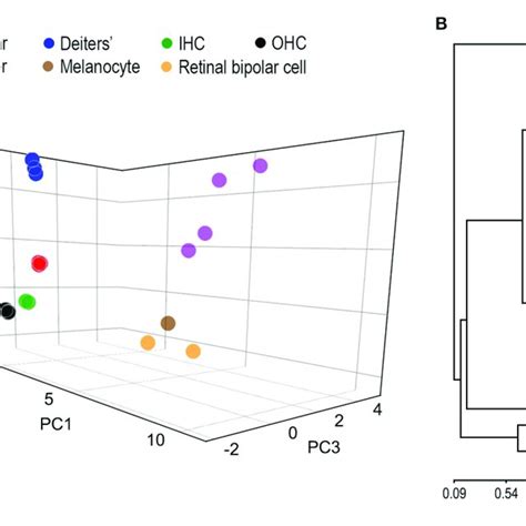 Similarity Measures Of Gene Expression Profiles Among Different Cell Download Scientific