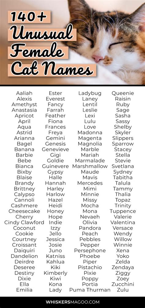 140 Unusual Female Cat Names For Unique Kitties Whiskers Magoo