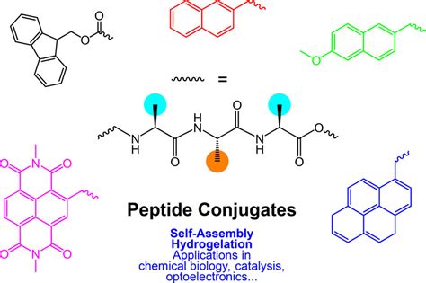 Self Assembly Bioactivity And Nanomaterials Applications Of Peptide