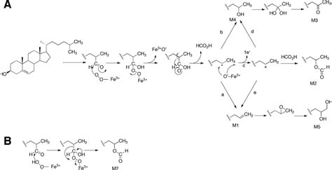 Possible Mechanisms For Steroid Deformylation Reactions Catalyzed By