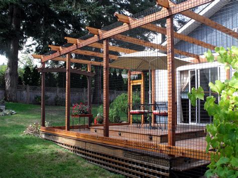 Outdoor Cat Enclosure With Roof