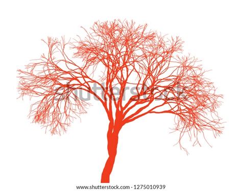 Naked Tree Silhouette On White Background Stock Vector Royalty Free
