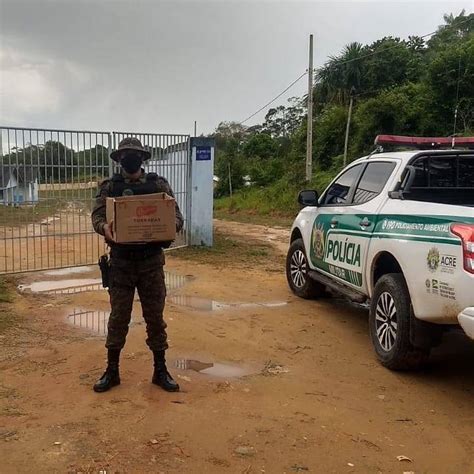 Pelot O Ambiental Do Bpm Resgata Matilha De Filhotes Que Estavam