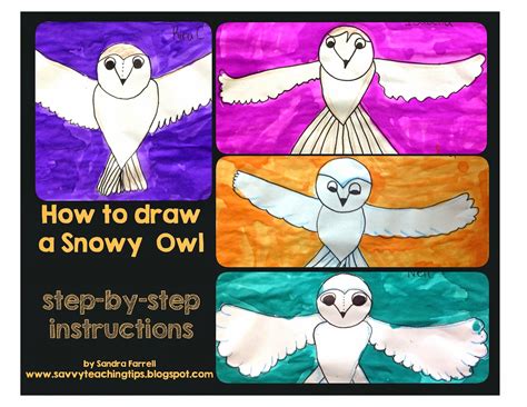 How To Draw A Snowy Owl