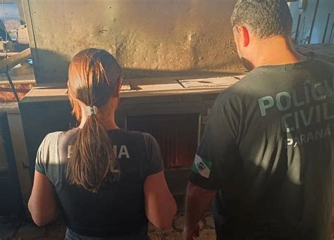 Pol Cia Civil De Santa Isabel Do Iva Incinera Mais De Kg De Drogas