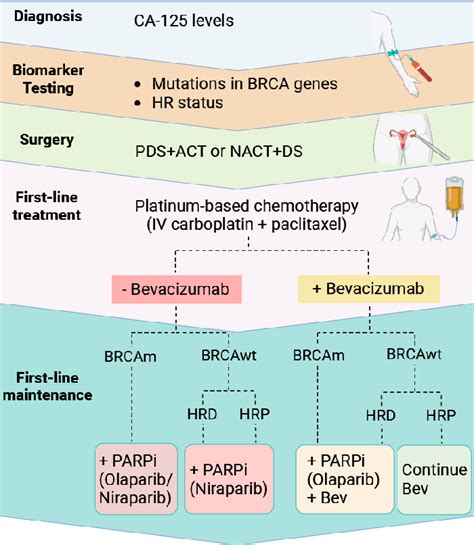 Figure From Oncogenic Pathways And Targeted Therapies In Ovarian