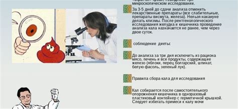 Способы правильно сдать анализ кала на скрытую кровь