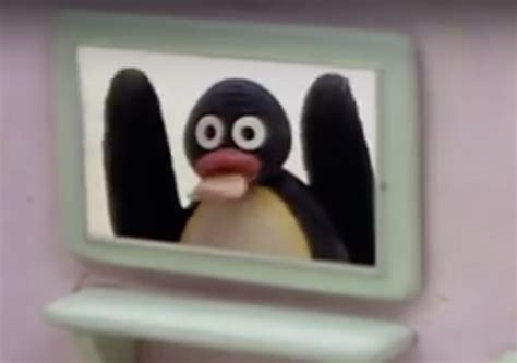 pingu memes | Cantanti, Preferiresti