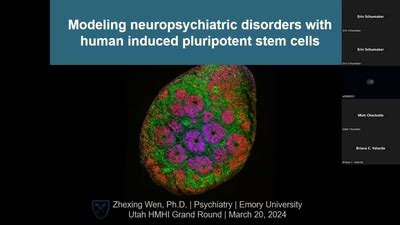 Modeling Neuropsychiatric Disorders With Human Induced Pluripotent