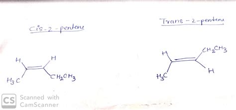 Solved C The Molecule Below Is Trans 2 Pentene Draw A Stereoisomer