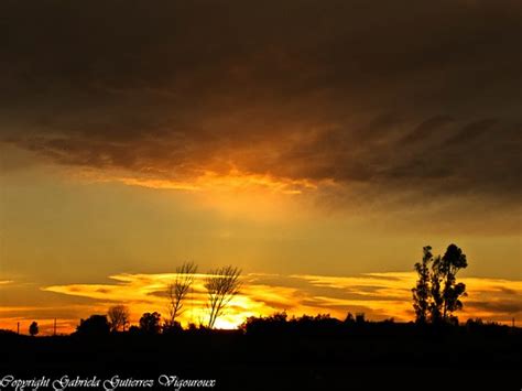 Yellow Sunset Photoawardscounter Click Here To See The Aw Flickr