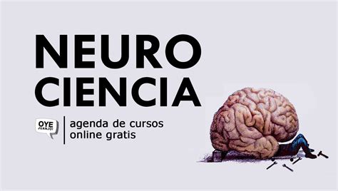 10 Cursos Online Gratis De Neurociencia