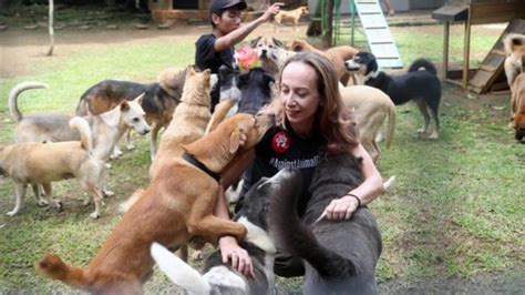 Perros rescatados en Indonesia tienen una nueva vida en Canadá