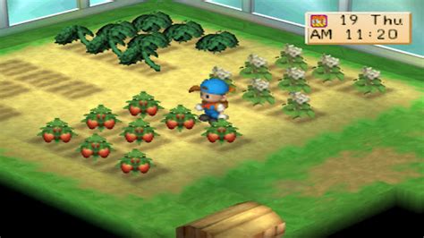 Harvest Moon Back To Nature Crop Guide Strawberry GamerZenith