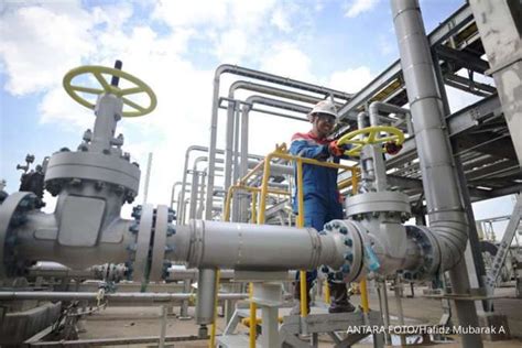 Belum Optimal Pemerintah Didorong Evaluasi Harga Gas Bumi Us Per Mmbtu