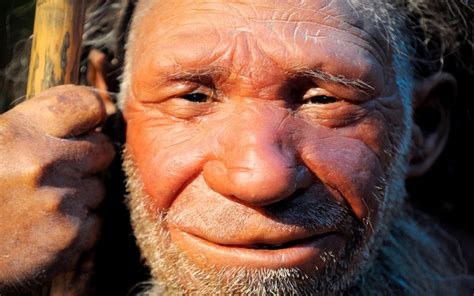 Neanderthals Cared For Their Elders And The Deceased New Evidence