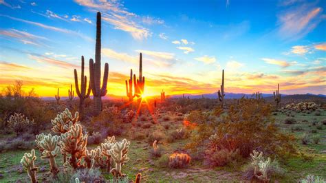 Gila Bend (U.S. National Park Service)