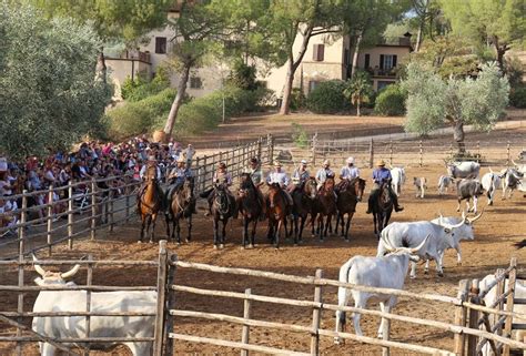 Qui Maremma Toscana Butteri Fattoria Del Marruchetone C Era Una Volta