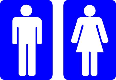 male toilet toilet images pixabay