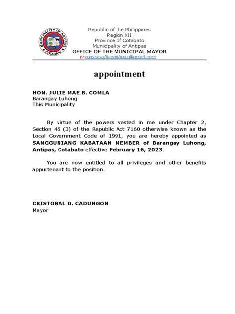 Appointment For Barangay Pdf Government Philippines