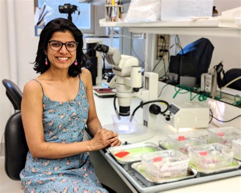 Doing An Ant Phd Rohini Singh Myrmecological News Blog